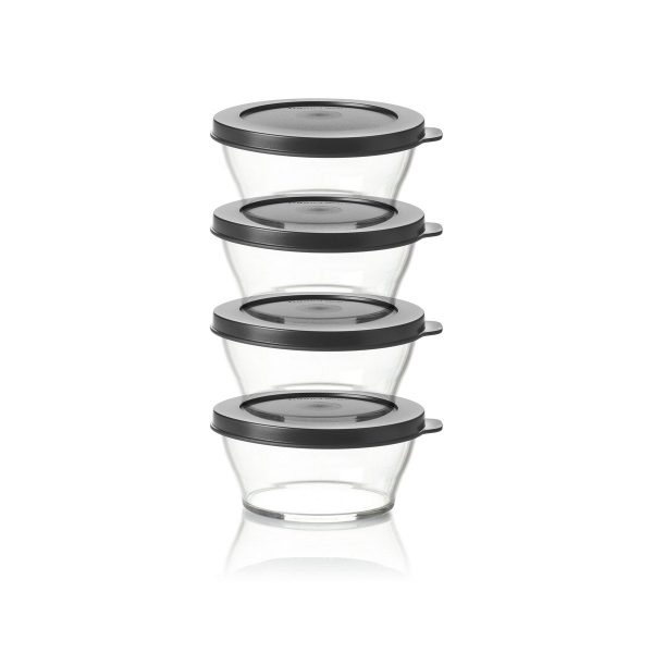 10185465000-clearly-elegant-extra-small-bowl-4pc-2601-5000
