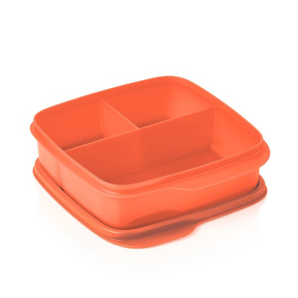 31001732012-lunch-it-container-1236-3101_cosyrosy