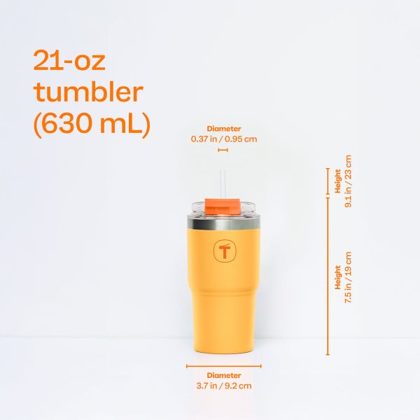 EN-Global-Big-T-USP-Size-SunsetOrange-Small-1200x1200-1