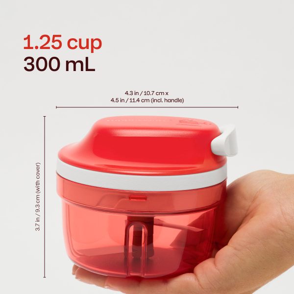 En-Global-AO-Jan-SuperSonic-USP-Scale-1200x1200-1