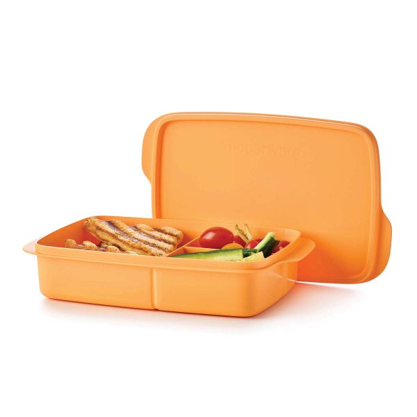 eco-plus-lunchit-large