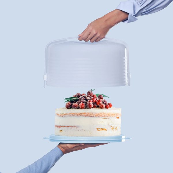 round-cake-taker-2401-13010_d4a9f762-c718-42b7-b896-ff1b79ff5a3a