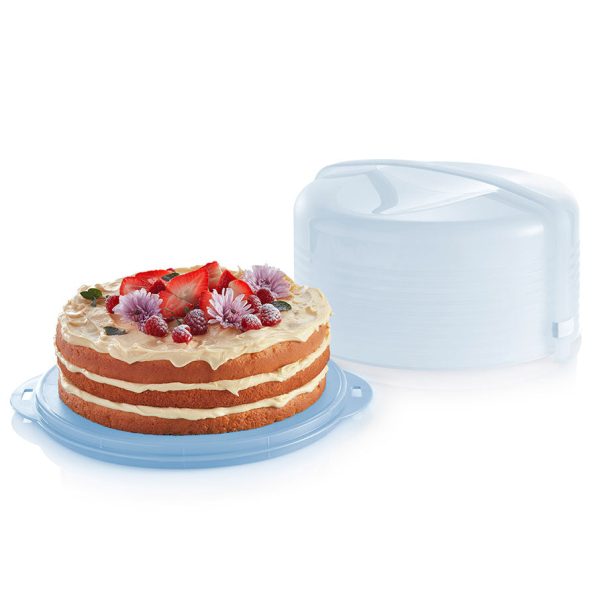 round-cake-taker-2401-13035