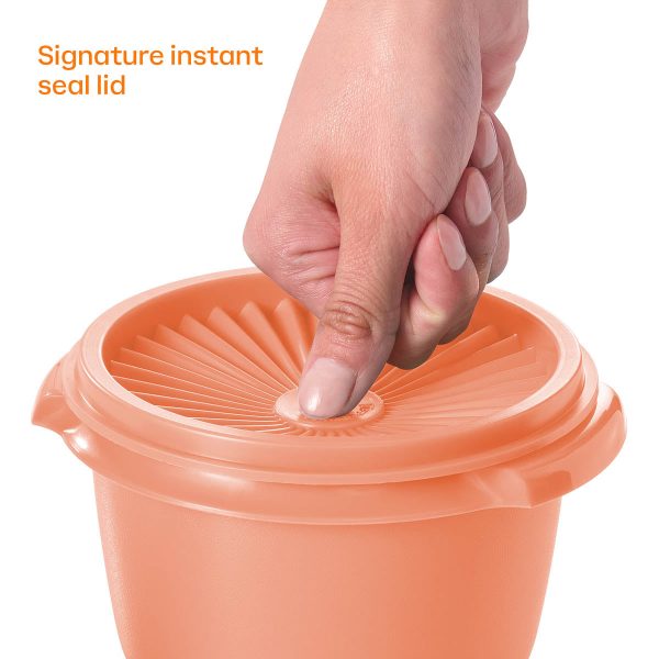 tupperware-Servalier-16piecesset-0625-5001