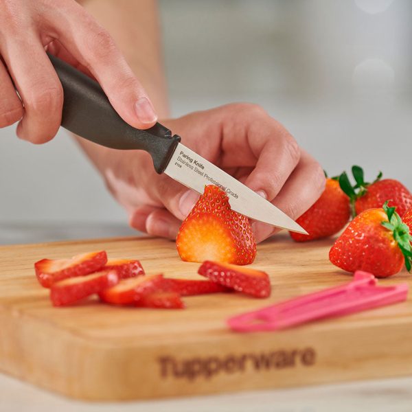 tupperware-ww-st-2204-2385
