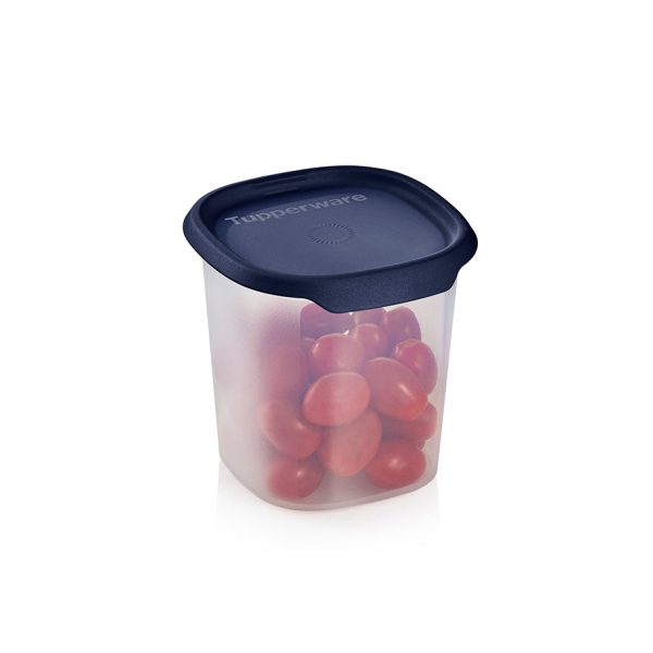 tupperware-ww-st-2404-16008